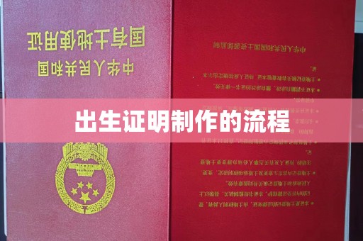 乌海出生证明制作的流程