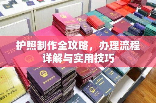 乌海护照制作全攻略，办理流程详解与实用技巧
