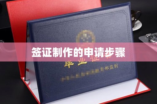 乌海签证制作的申请步骤