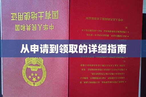 乌海从申请到领取的详细指南