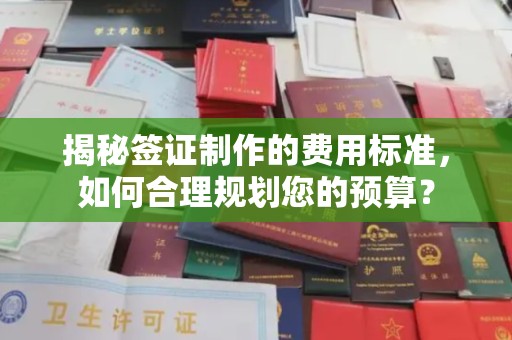 乌海揭秘签证制作的费用标准，如何合理规划您的预算？