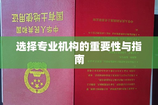 乌海选择专业机构的重要性与指南