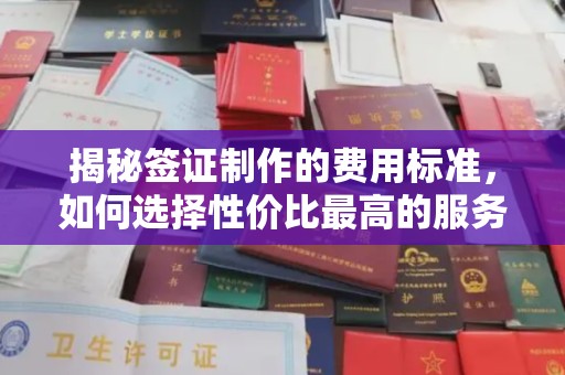 乌海揭秘签证制作的费用标准，如何选择性价比最高的服务？